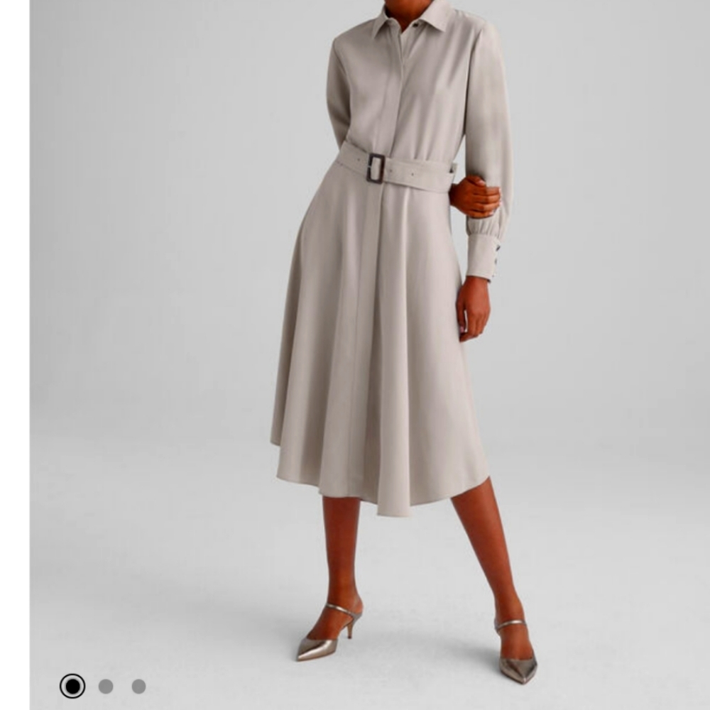 Club Monaco dress